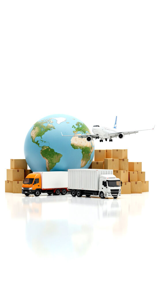 Global supply chain network